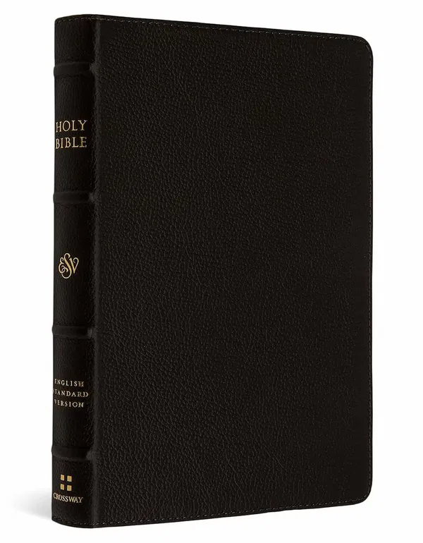 204-0202 Product Image 1