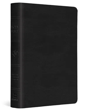 ESV Large Print Compact Bible (Trutone, Black)