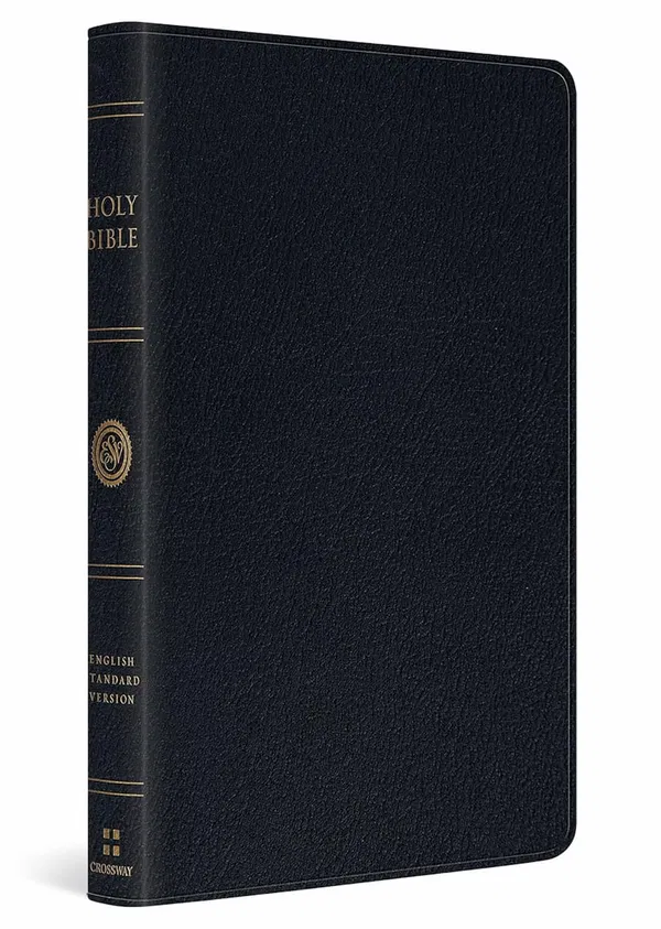 204-0206 Product Image 1