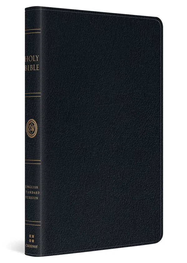 204-0207 Product Image 1