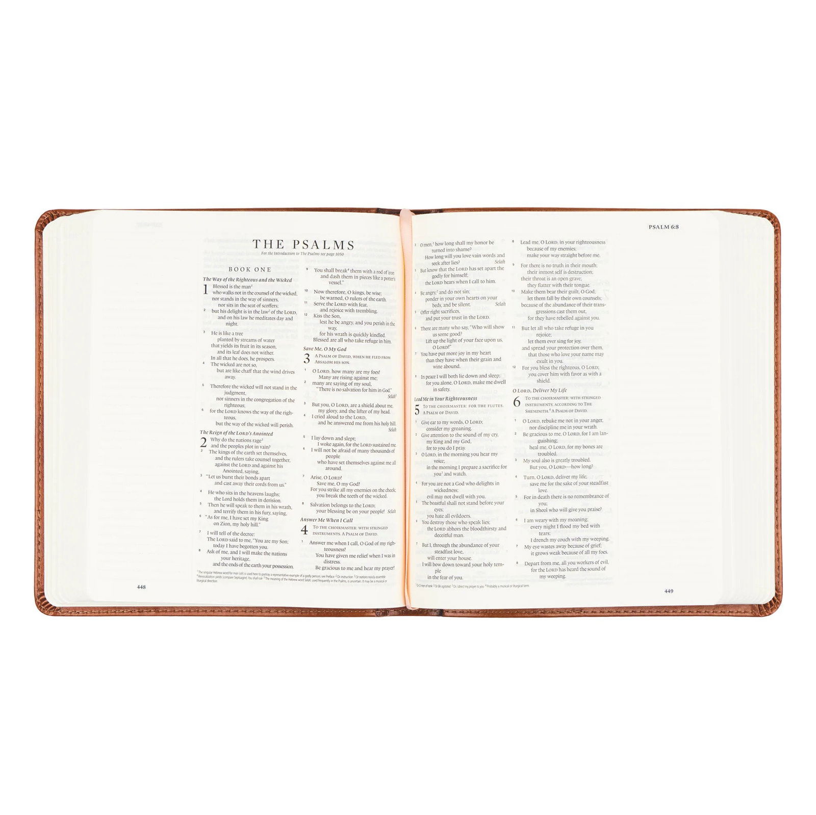 Product 204-0211 - View 3 204-0211 Product Image 3