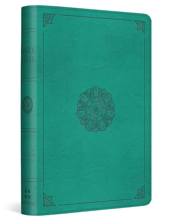 204-0217 Product Image 1