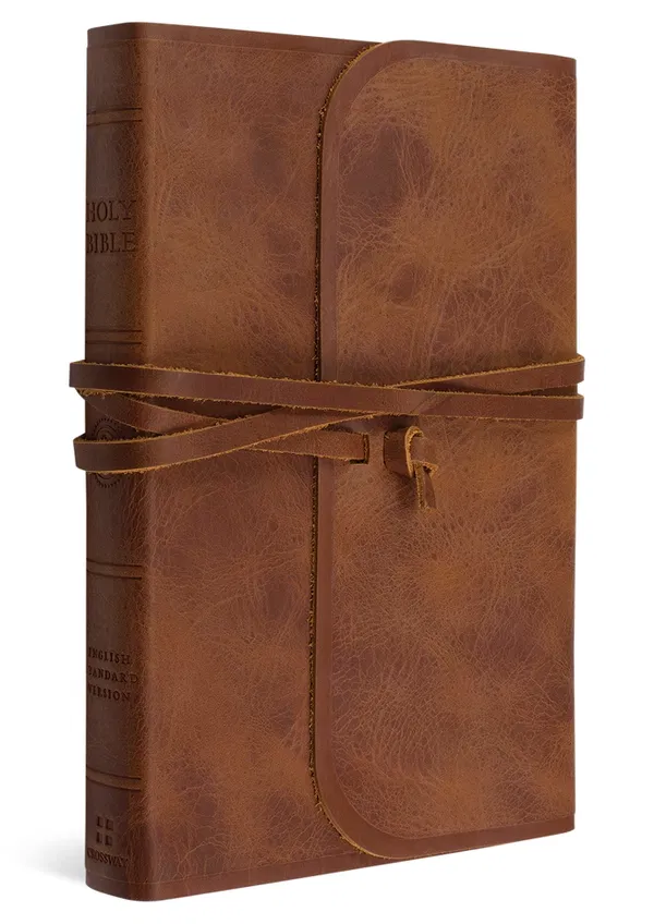 204-0221 Product Image 1