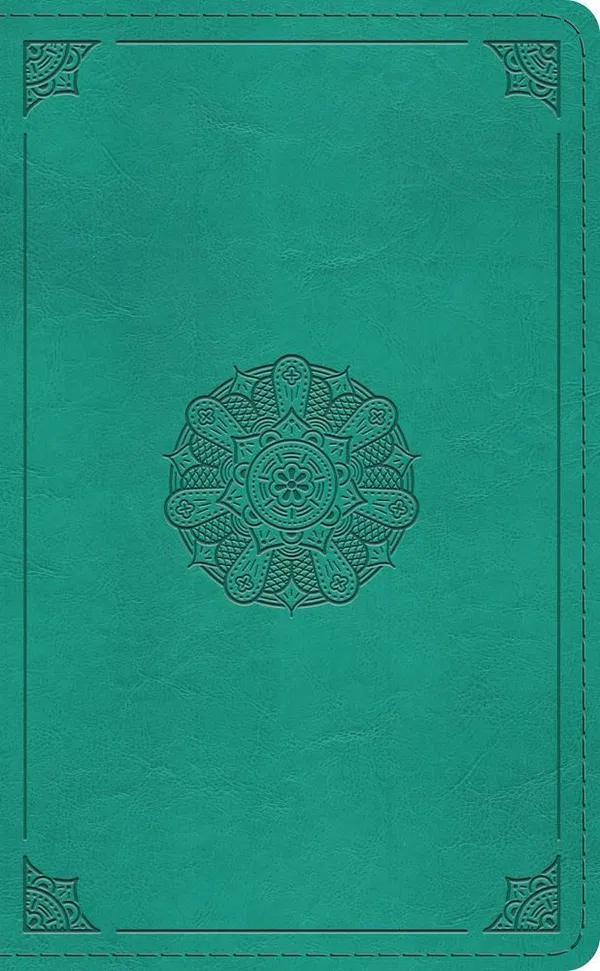 204-0224 Product Image 1