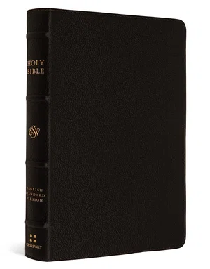 ESV Large Print Compact Bible (Buffalo Leather, Deep Brown)