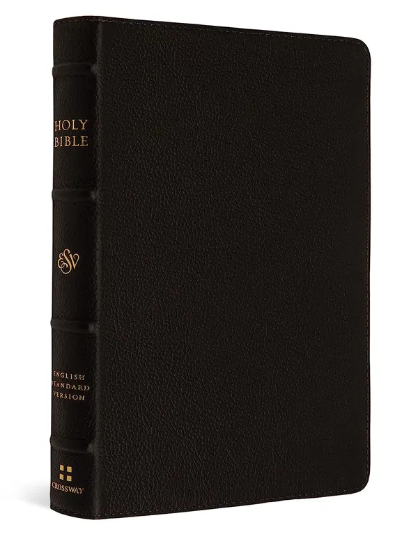 204-0226 Product Image 1