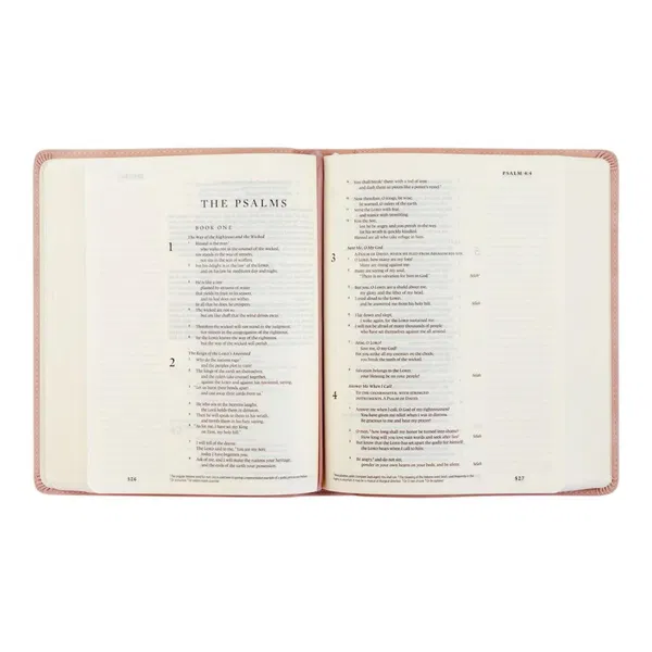 204-0236 Product Image 5