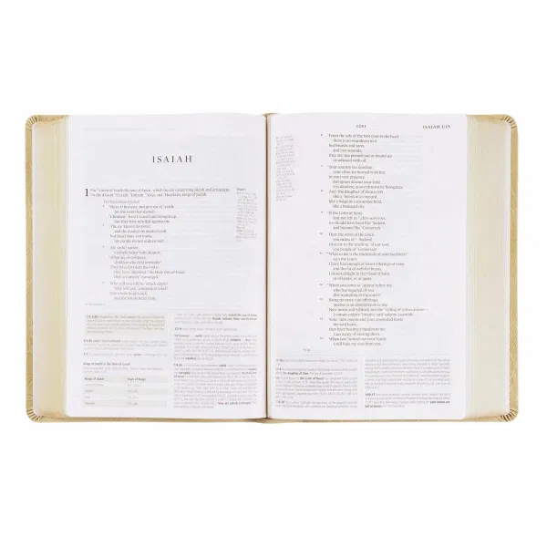 204-0241 Product Image 5