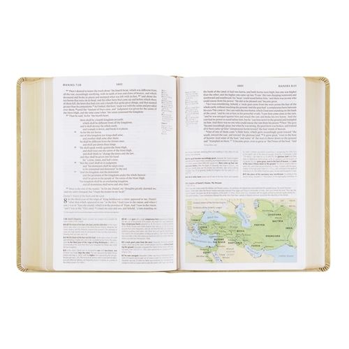 204-0241 Product Image 6