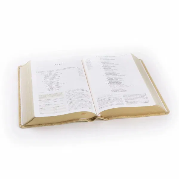 204-0241 Product Image 7