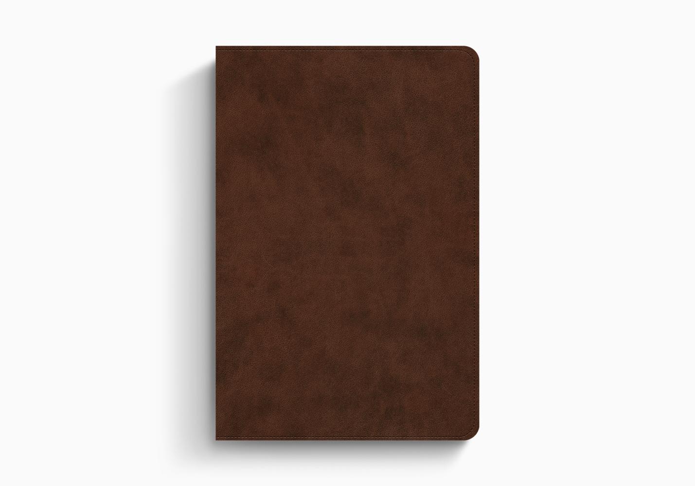 Image of ESV Holy Bible: Dyslexia-Friendly Edition