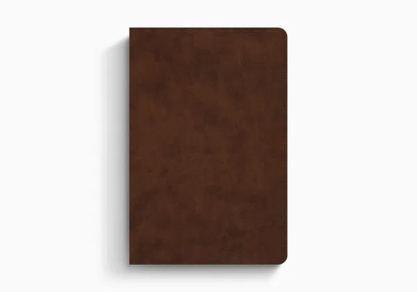 204-0242 Product Image 1