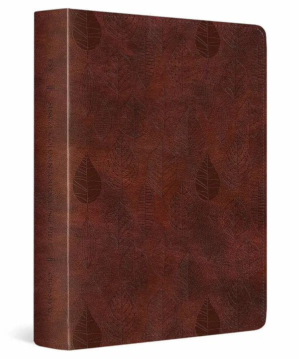 204-0249 Product Image 1