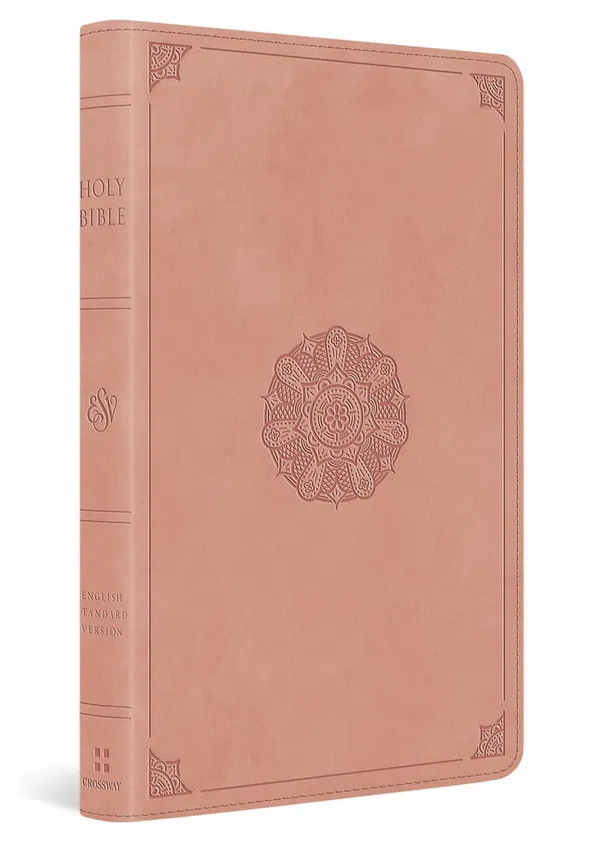 204-0254 Product Image 1