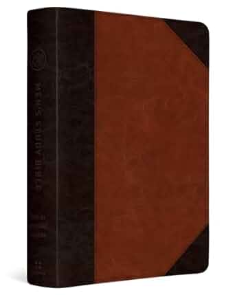 Image of ESV Men’s Study Bible (Trutone, Brown/Cordovan, Portfolio Design)