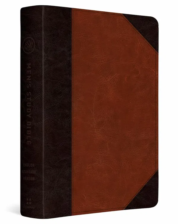 204-0255 Product Image 1