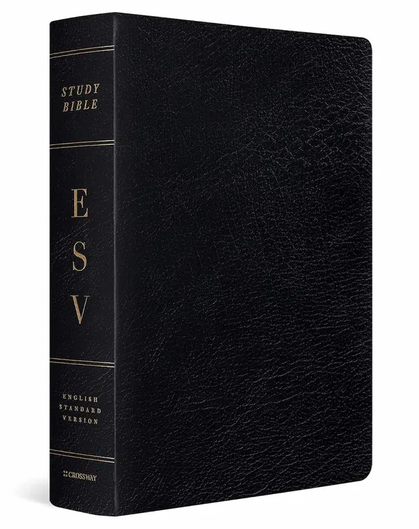 204-0256 Product Image 1