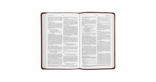 204-0258 Product Image 2