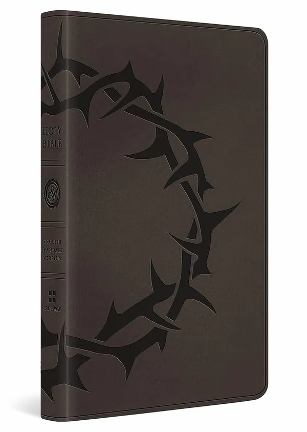 204-0261 Product Image 1