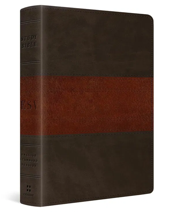 204-0268 Product Image 1