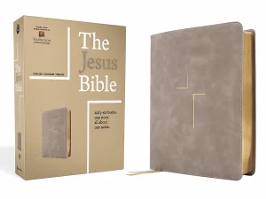 ESV The Jesus Bible, Stone Leathersoft