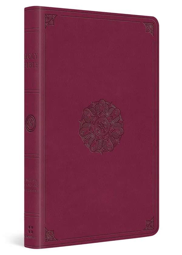 204-0285 Product Image 1