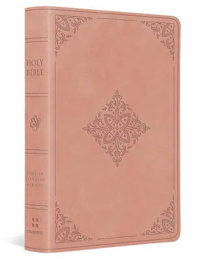 ESV Value Large Print Compact Bible (Trutone, Blush Rose, Fleur-De-Lis Design)