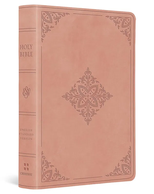 204-0287 Product Image 1
