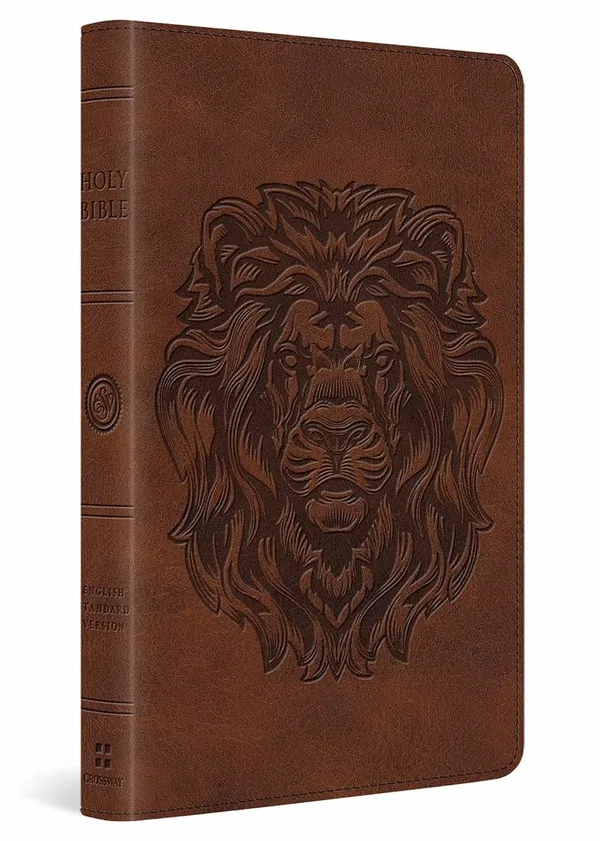 204-0289 Product Image 1