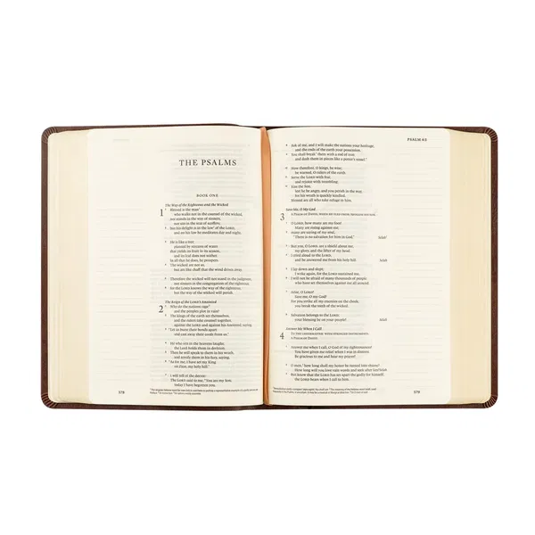 204-0291 Product Image 5