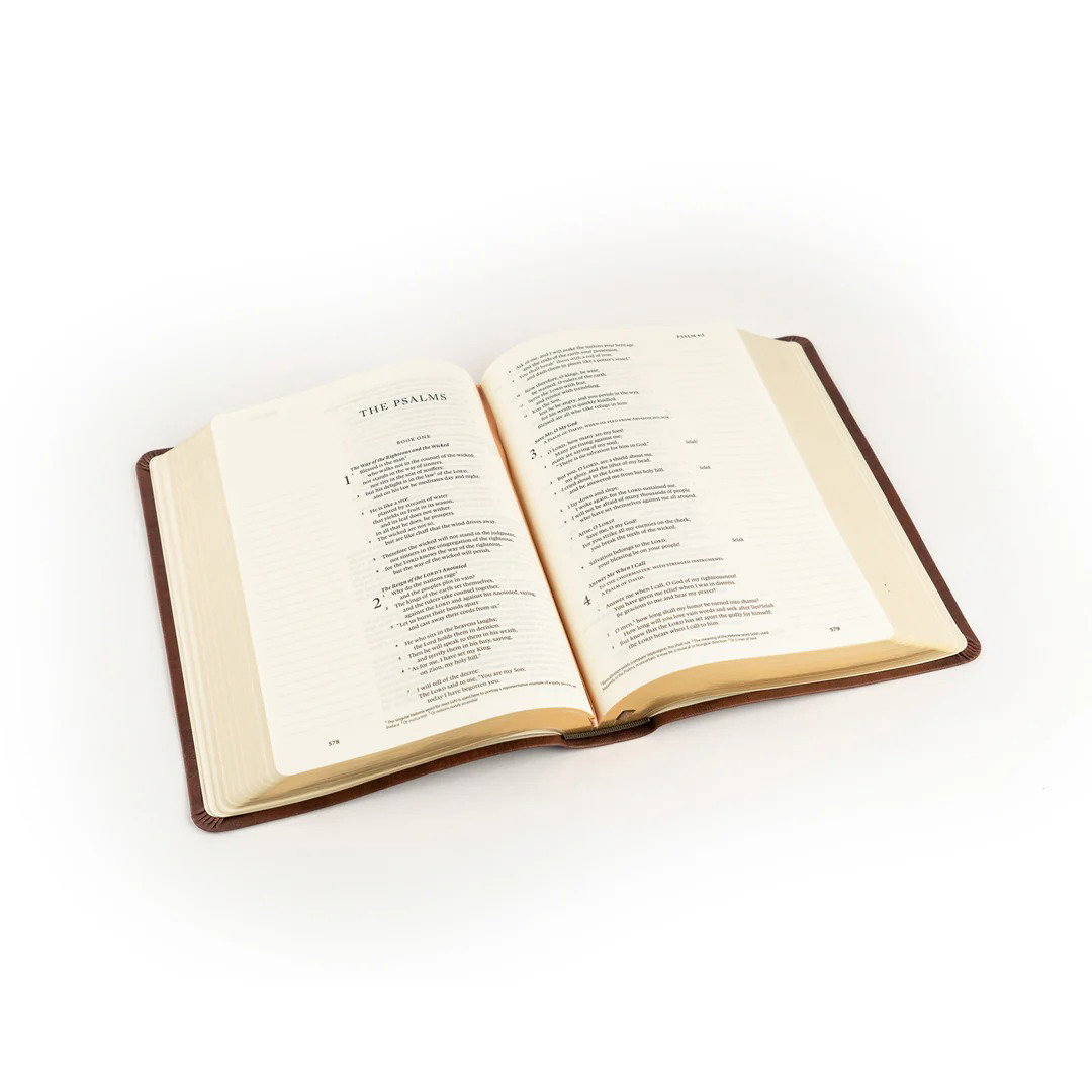 204-0291 Product Image 6