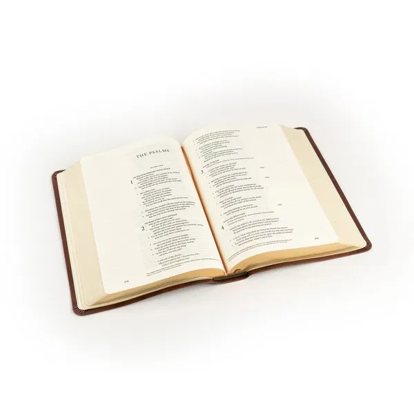 204-0291 Product Image 6