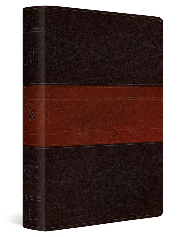 204-0299 Product Image 1