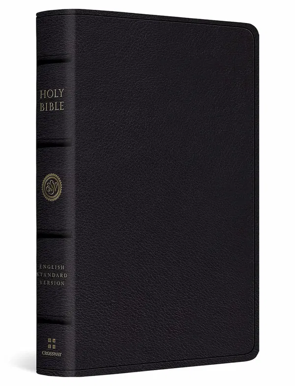 204-0311 Product Image 1