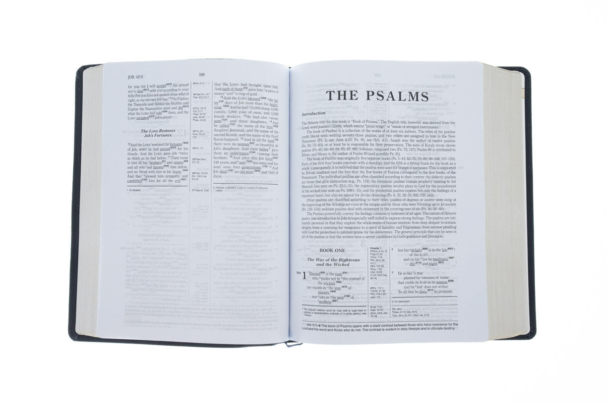 Product 204-0454 - View 4 204-0454 Product Image 4