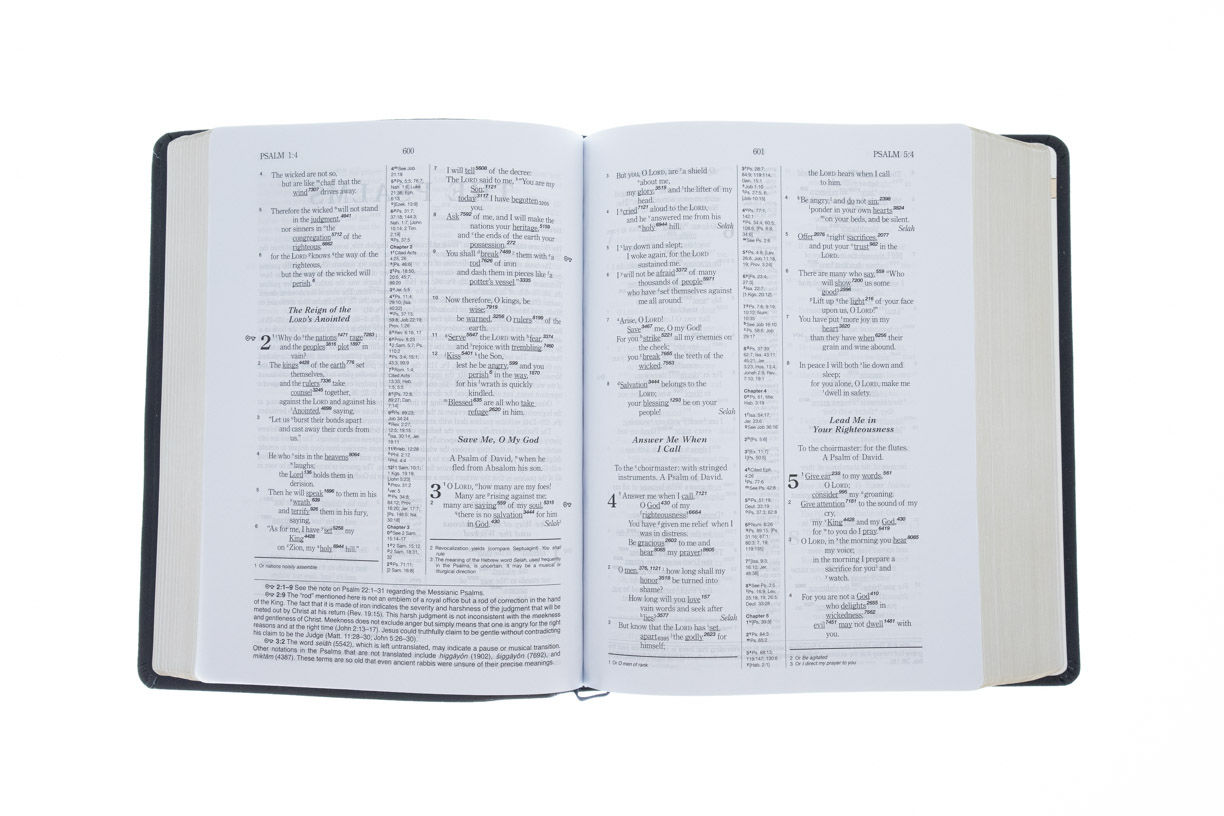 Product 204-0454 - View 5 204-0454 Product Image 5