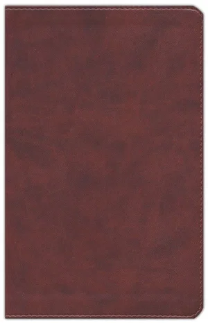 ESV Large Print Personal Size Bible