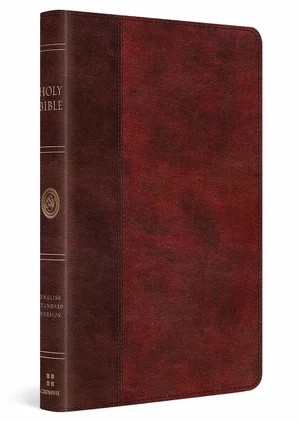 ESV Large Print Thinline Bible Burgundy/Red