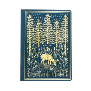 ESV Illuminated Scripture Journal: Psalms-Blue Softcover
