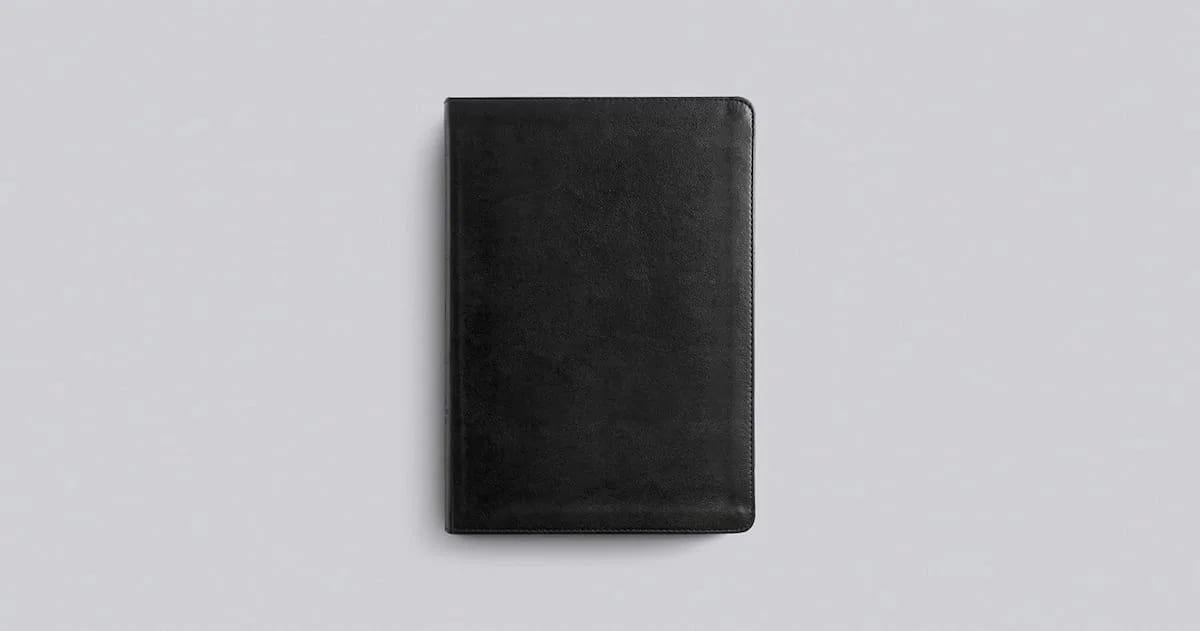 Product 204-0477 - View 4 204-0477 Product Image 4