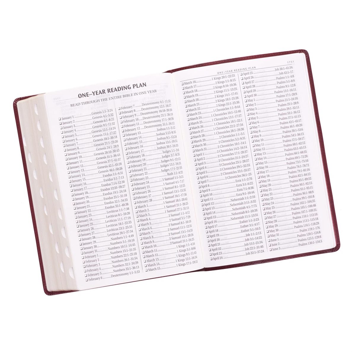 206-0006 Product Image 10