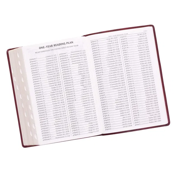 206-0006 Product Image 10