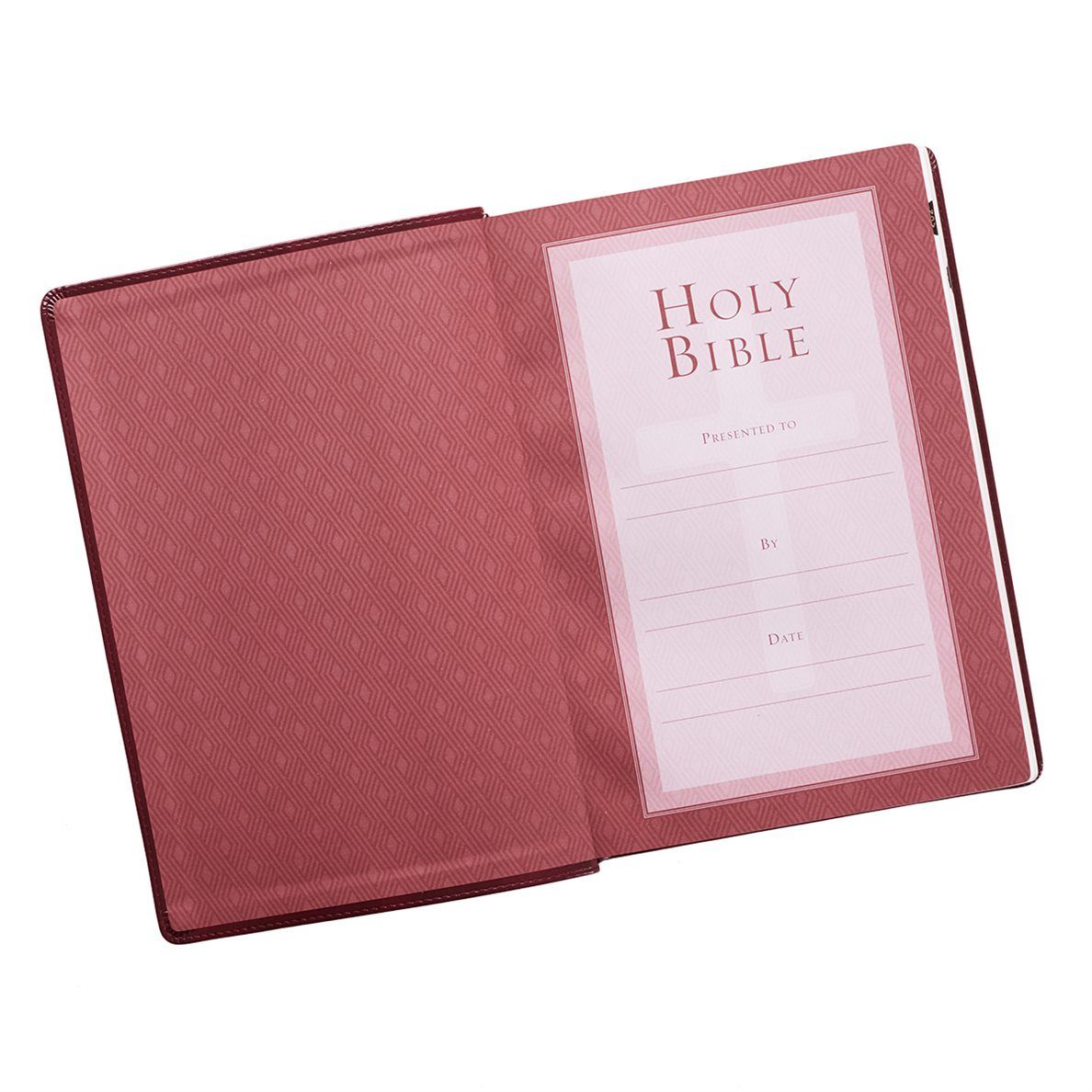 206-0006 Product Image 3