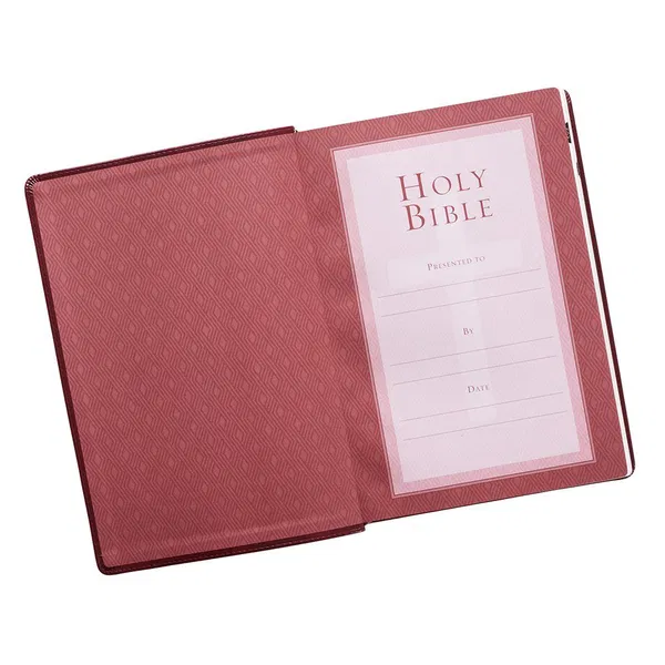 206-0006 Product Image 3