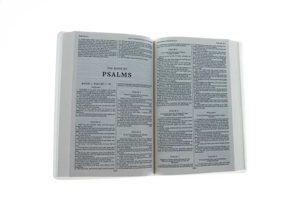 206-0038 Product Image 3