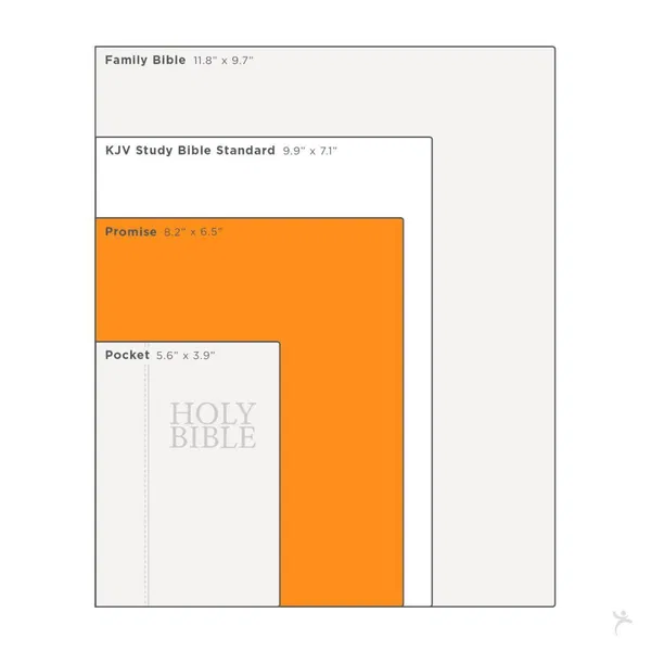 206-0107 Product Image 10