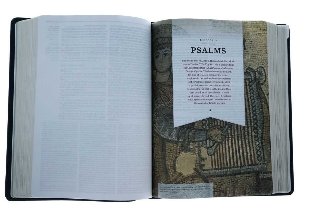 206-0172 Product Image 5