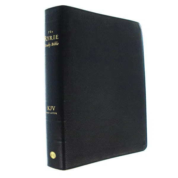 206-0221 Product Image 2