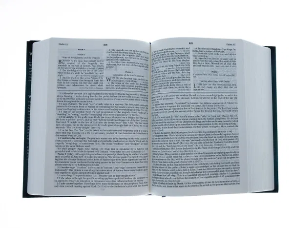 206-0353 Product Image 3