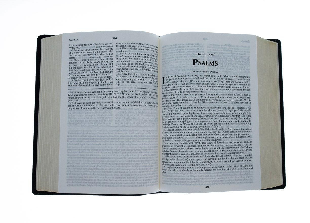 206-0354 Product Image 3